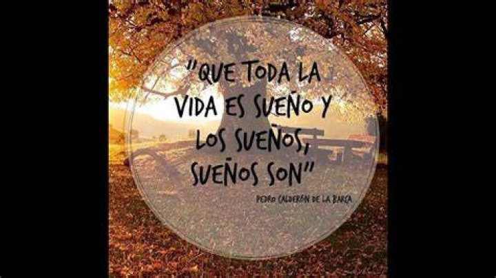 ¿Que todo en la vida es sueño y los sueños sueños son